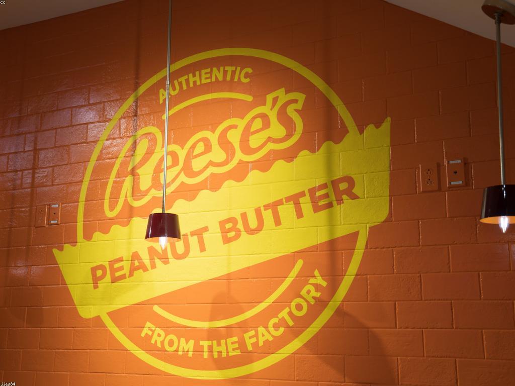 មូលដ្ឋាននៃការវិនិយោគ