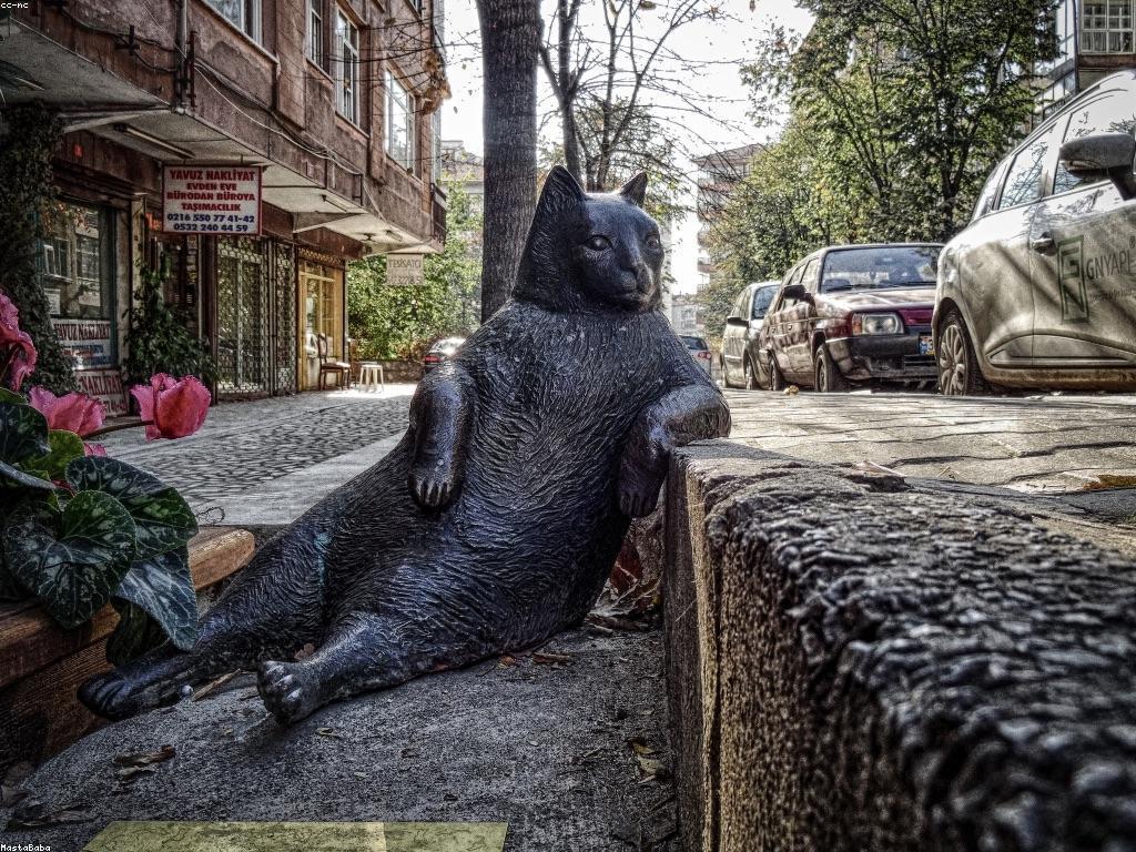 ការយល់ដឹងអំពីកិច្ចសន្យា និងភាពច្បាស់លាស់